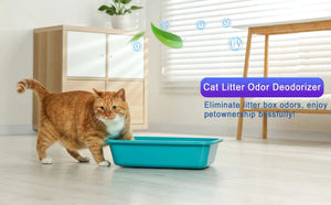 Portable ozone generator air purifier; turquoise litter box with a cat nearby in a bright living room