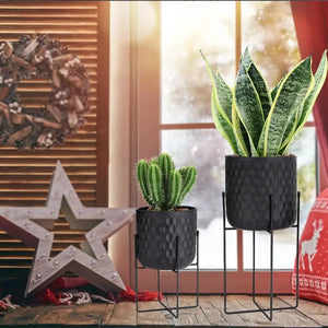 Set of 2 black metal flower pots on stands, 12" and 18" tall, with a cactus and a snake plant.