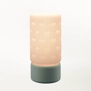 Liunk Table Lamp featuring a pink ribbed shade with vertical grooves and a teal cylindrical matte base.