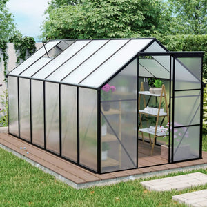 Glass greenhouse with shelves and plants in a garden setting