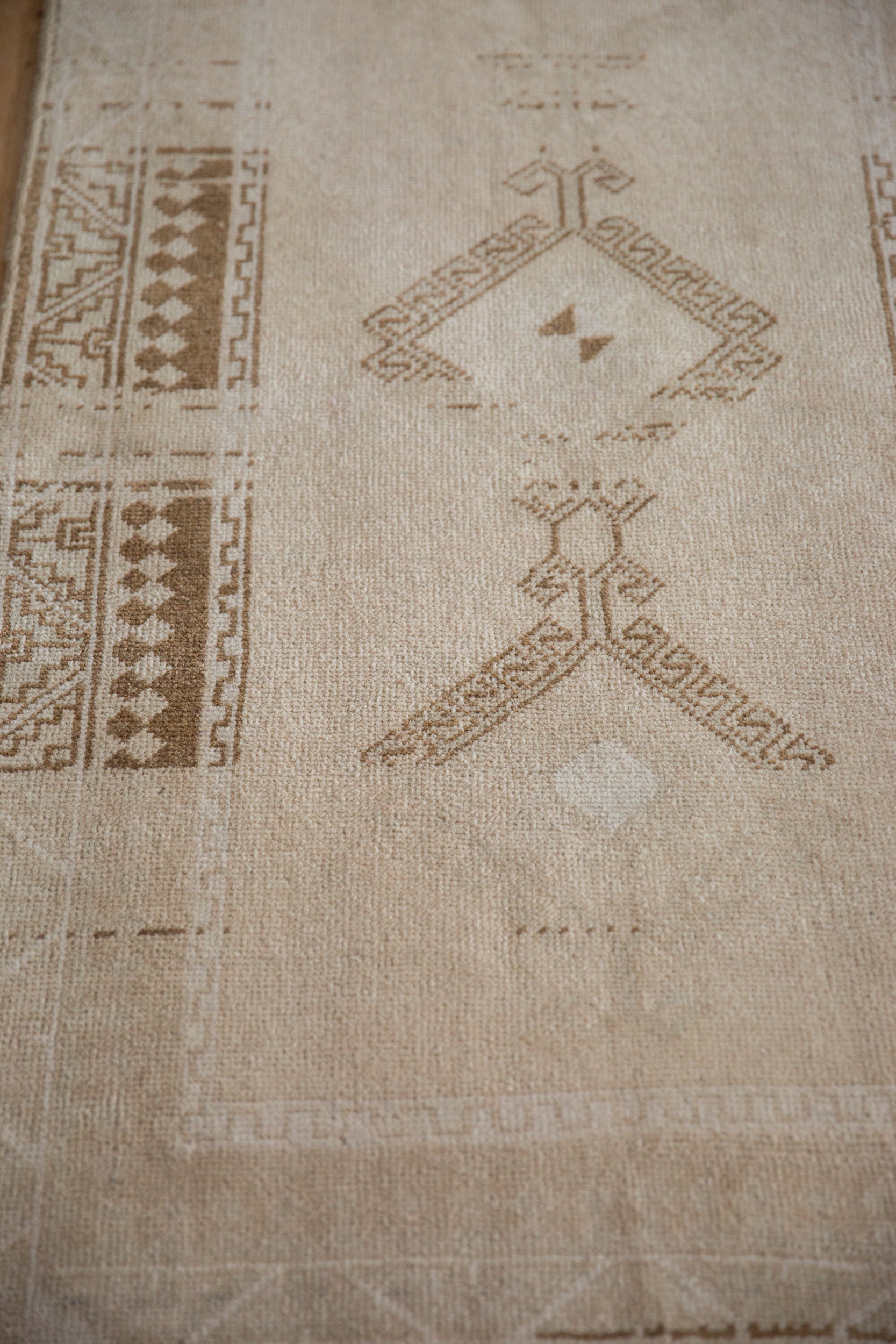 2.5x4.5 Vintage Distressed Malatya Rug