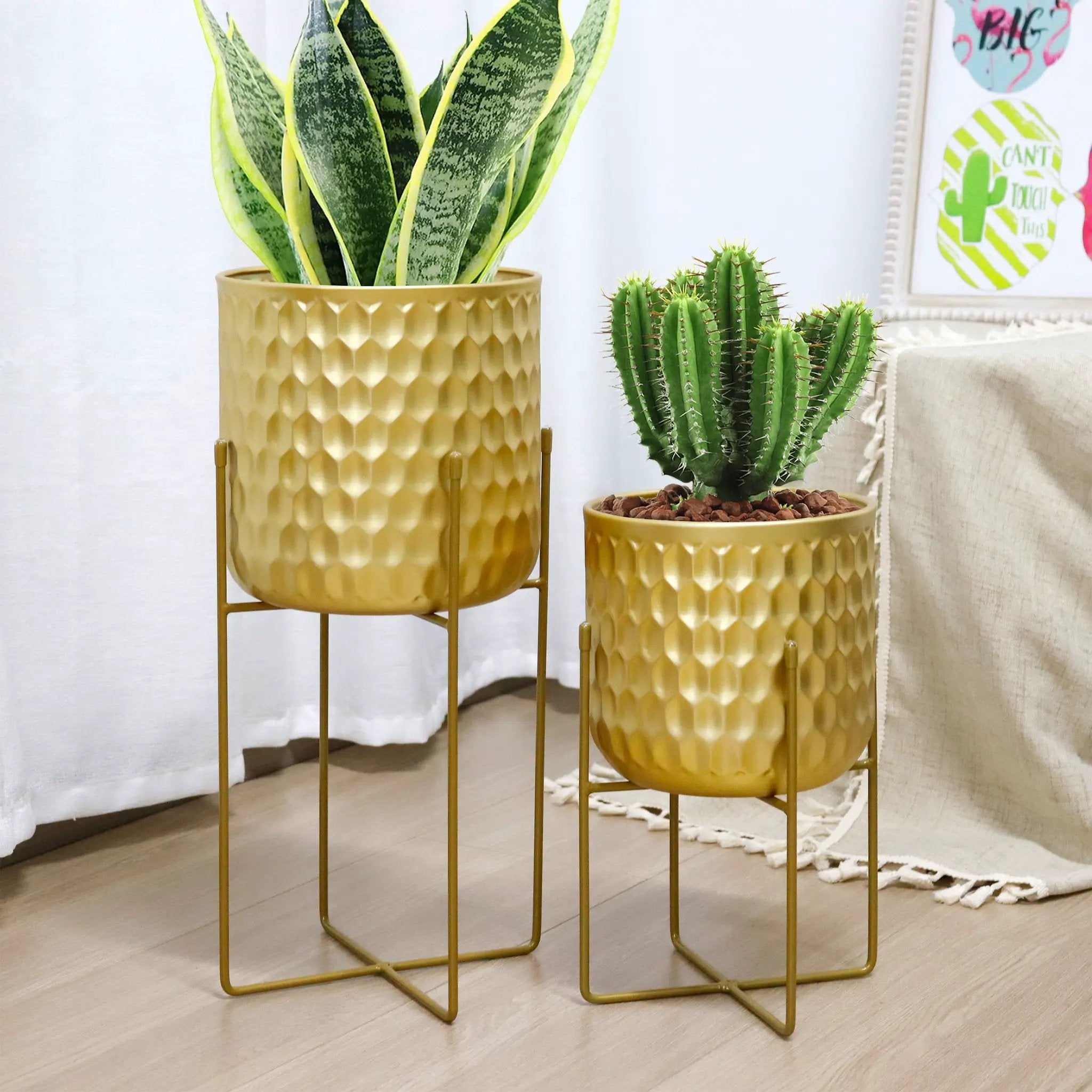 Two gold tall planters on metal stands, 17in and 12in tall, with snake plant and cactus