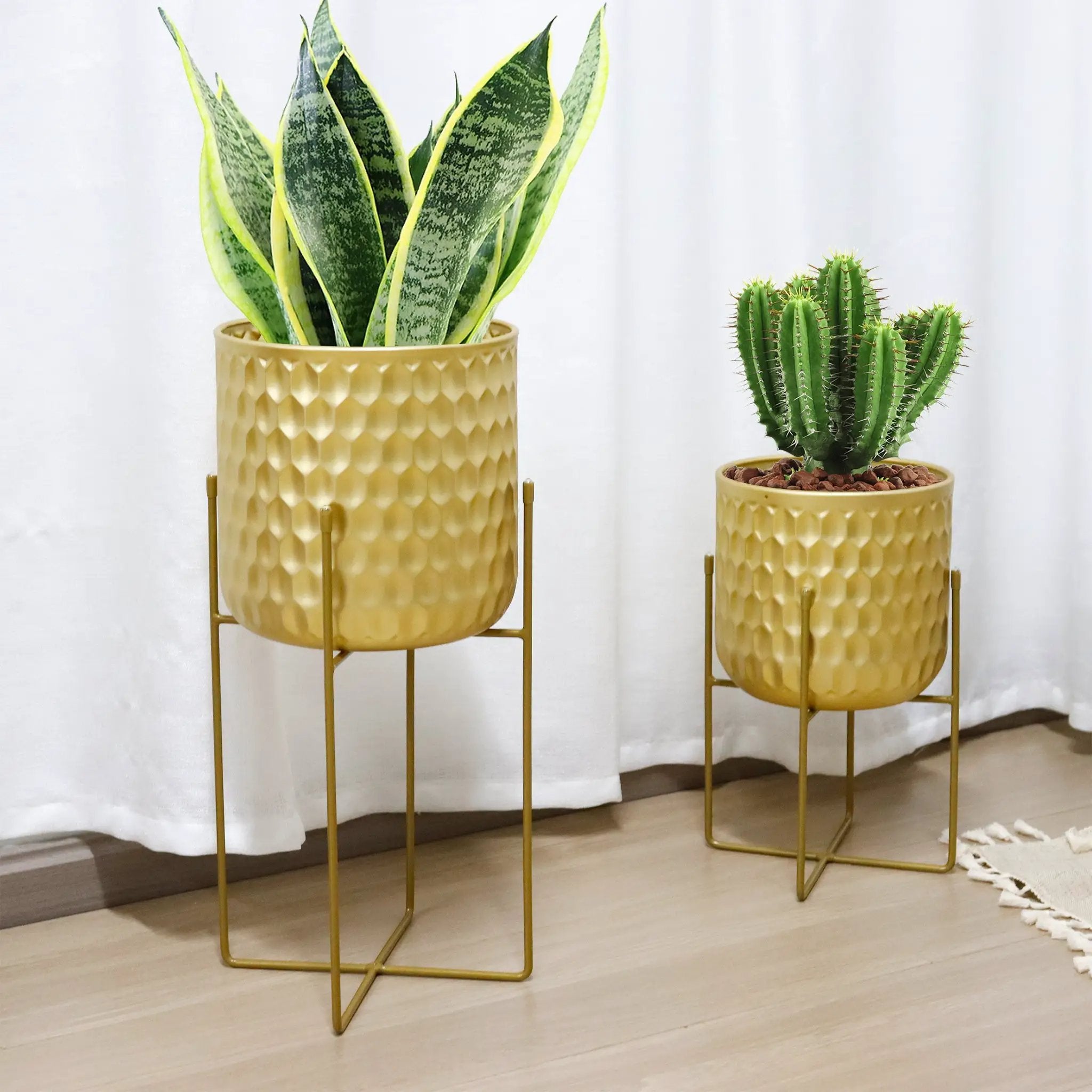 Two gold tall planters with stands featuring a honeycomb texture, housing a snake plant and a cactus.