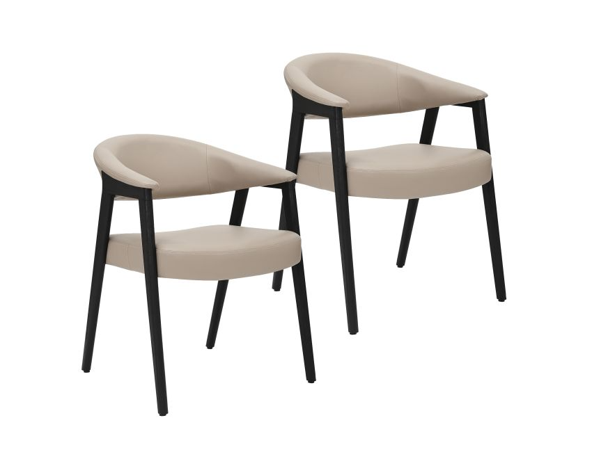 Mide Dining Chair, Set of 2