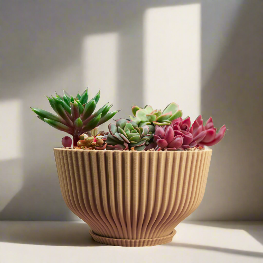 Bonsai Pot with Drainage & Tray