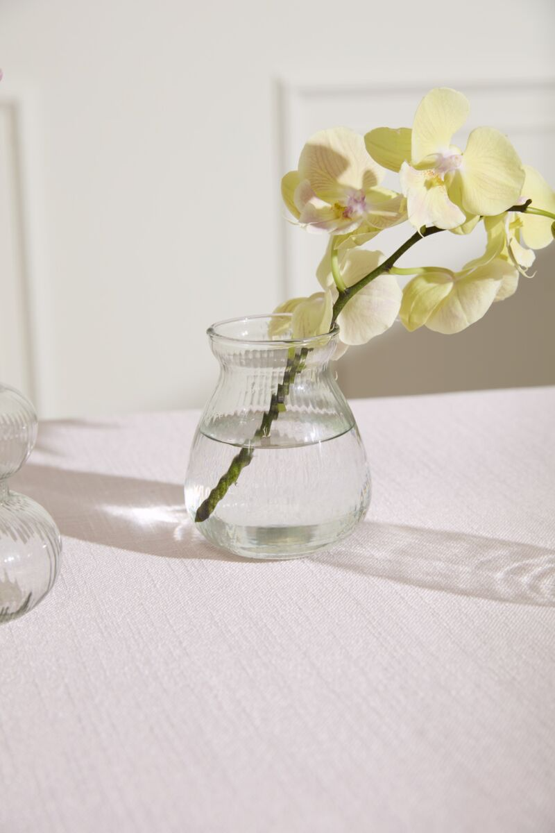 Yele Budvase