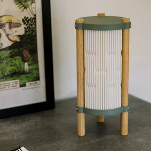 Toro Table Lamp by Terra Labs; green metal cap, ribbed white body, wooden legs.
