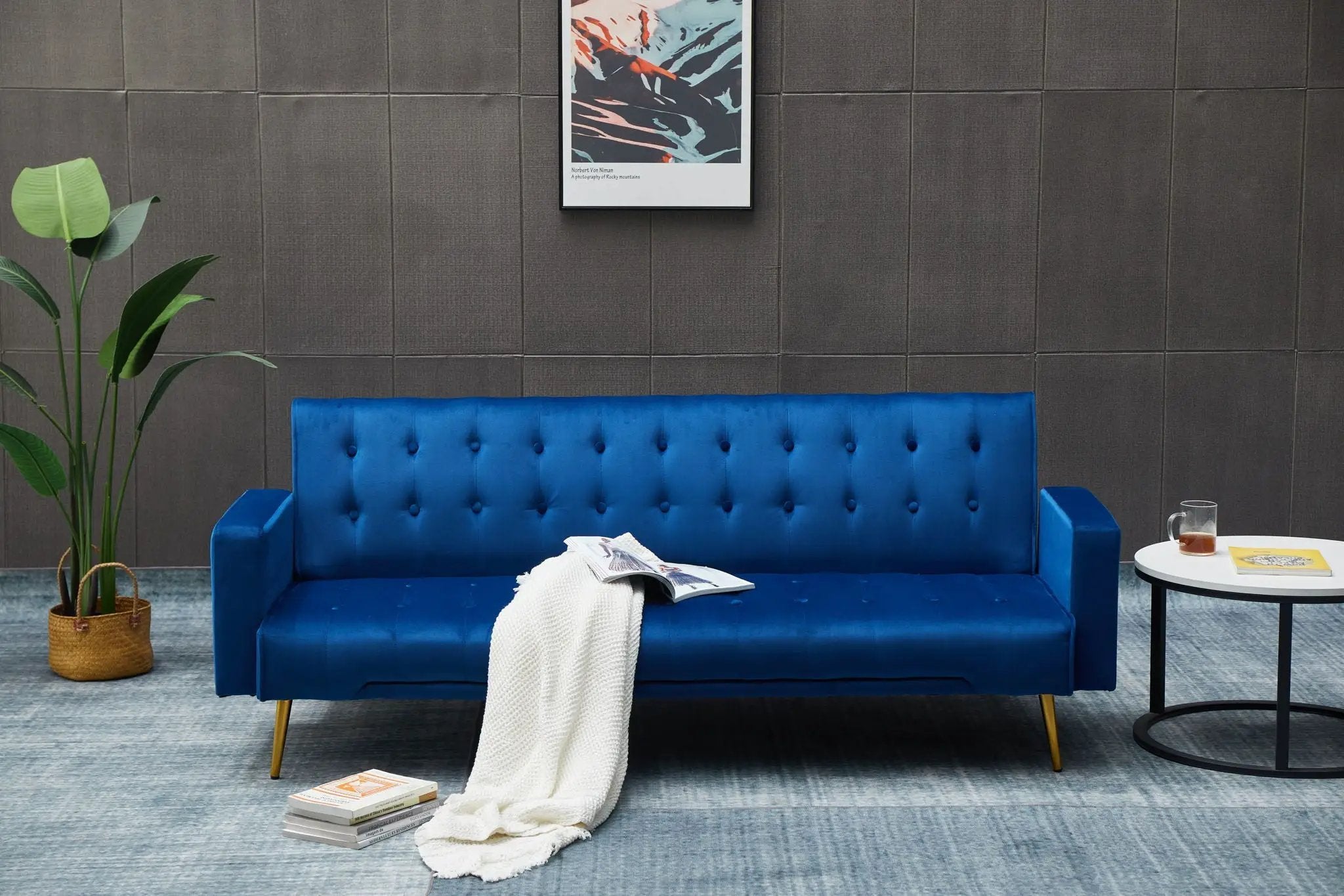 Comfort Compact Design Sofa Bed