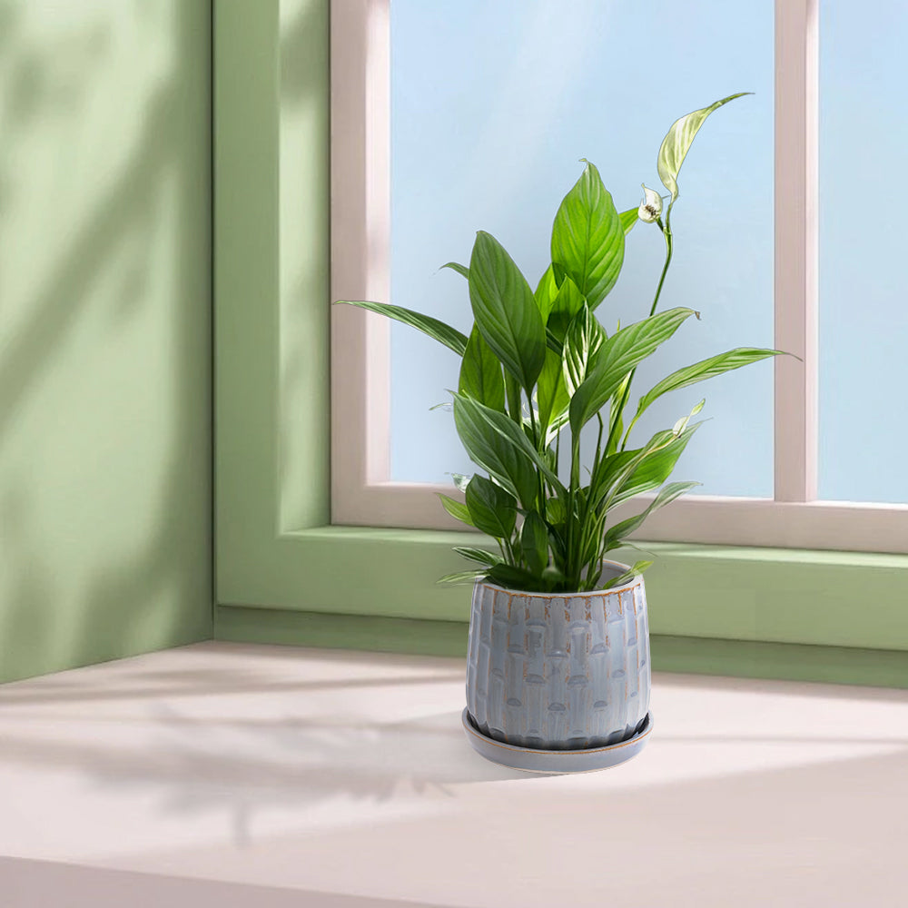 Set of 2 Ceramic Flowerpot, 7' Modern Planter for Patio, Garden, Windowsill - Grey