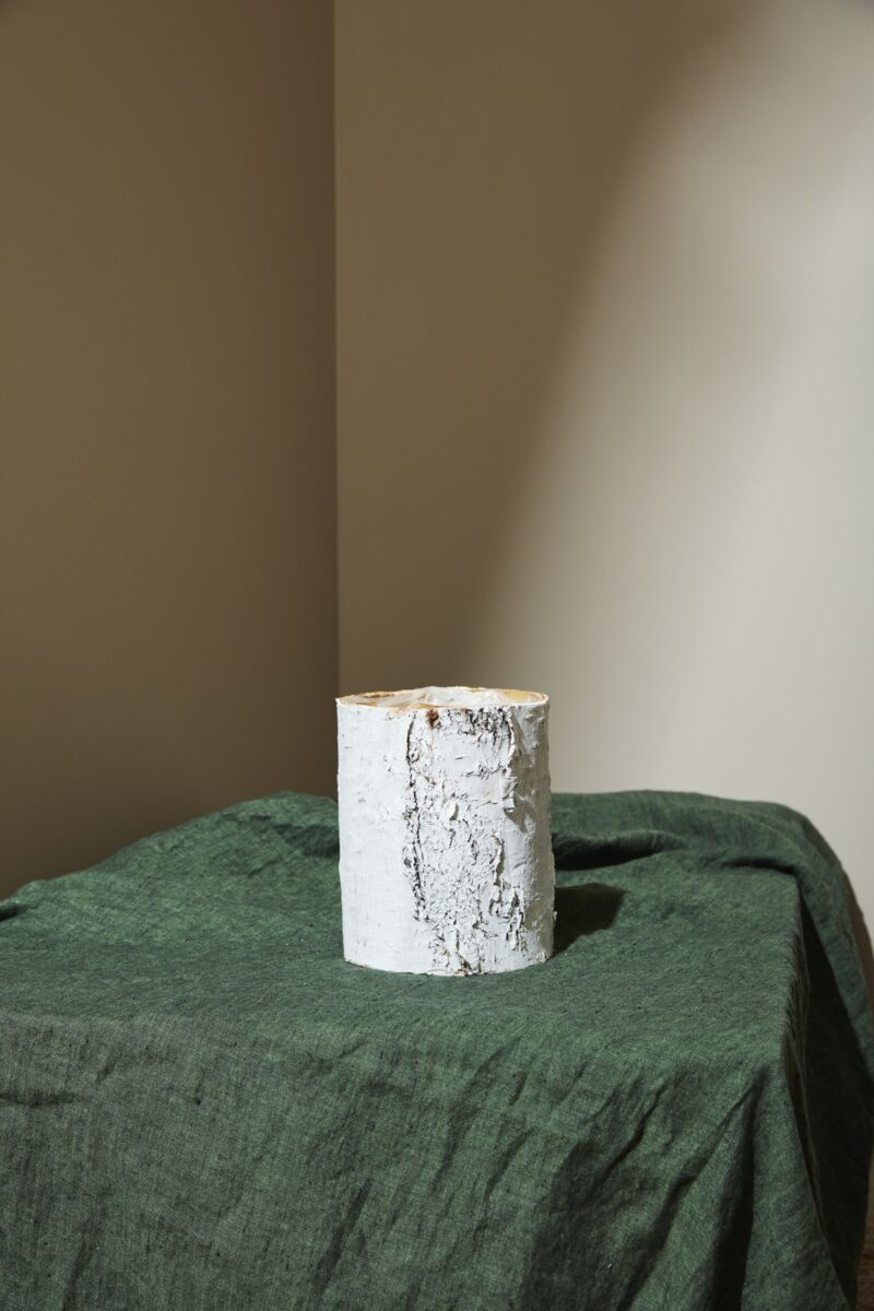 White Birch Cylinder