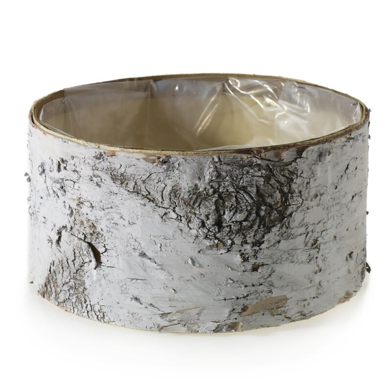 White Birch Bowl