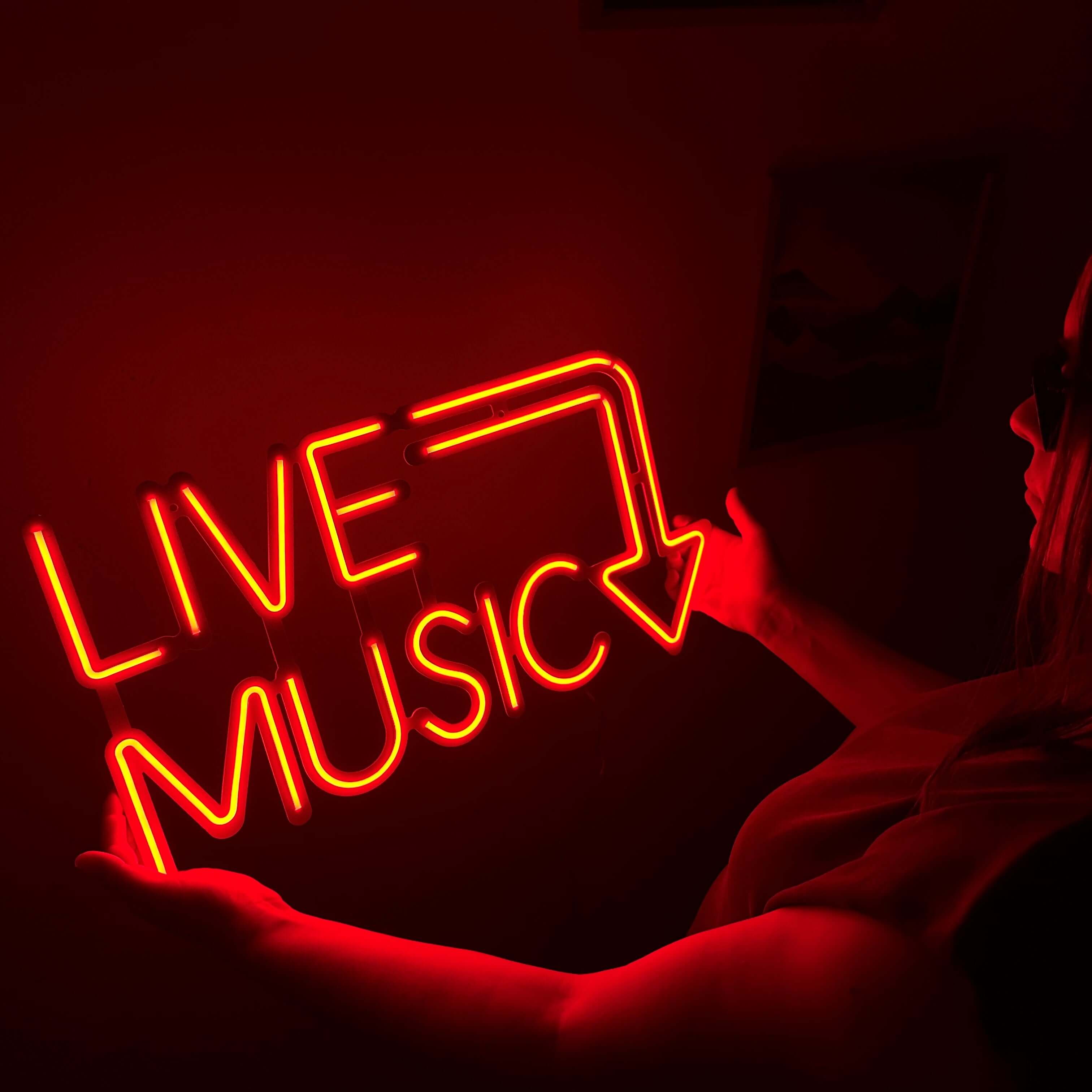Live Music Neon Metal Sign