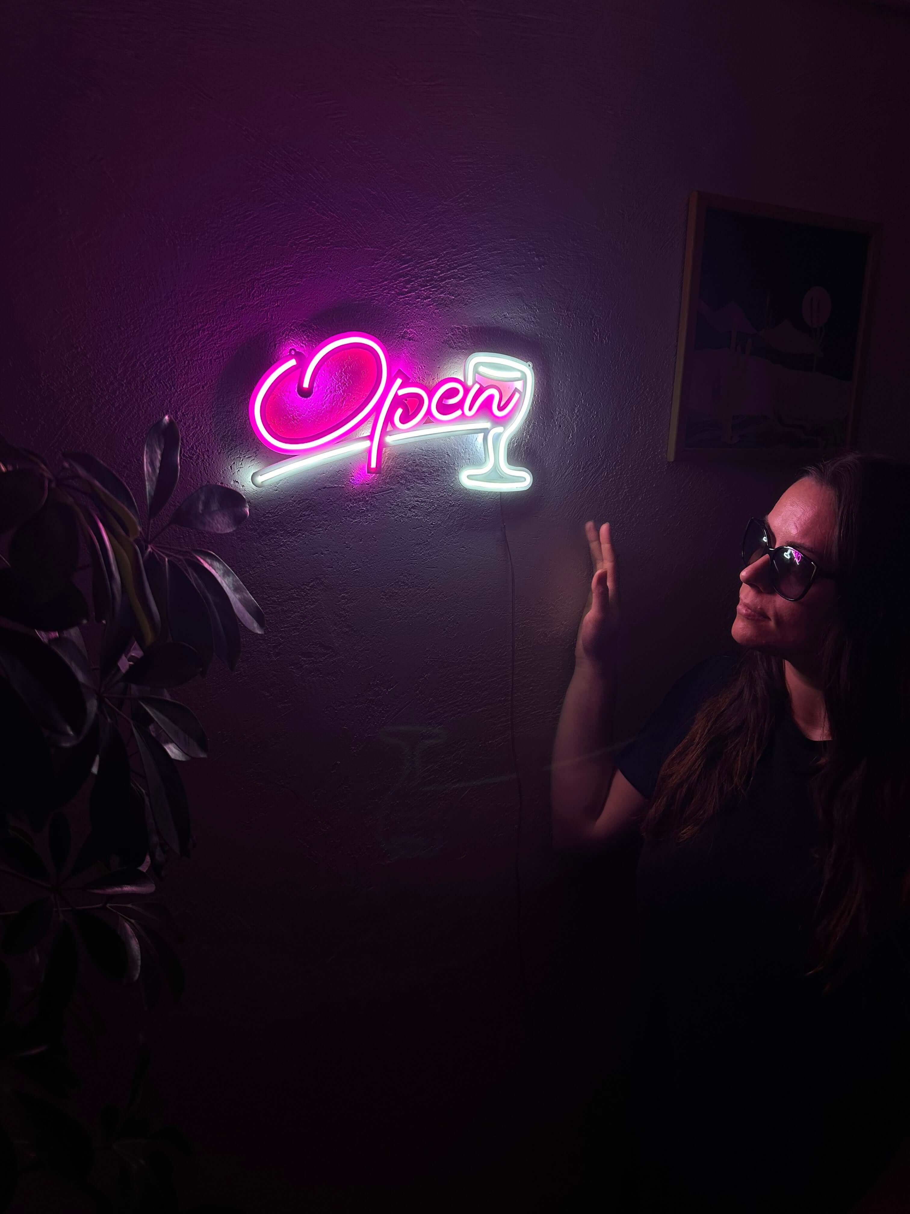 Open Door Neon Metal Sign