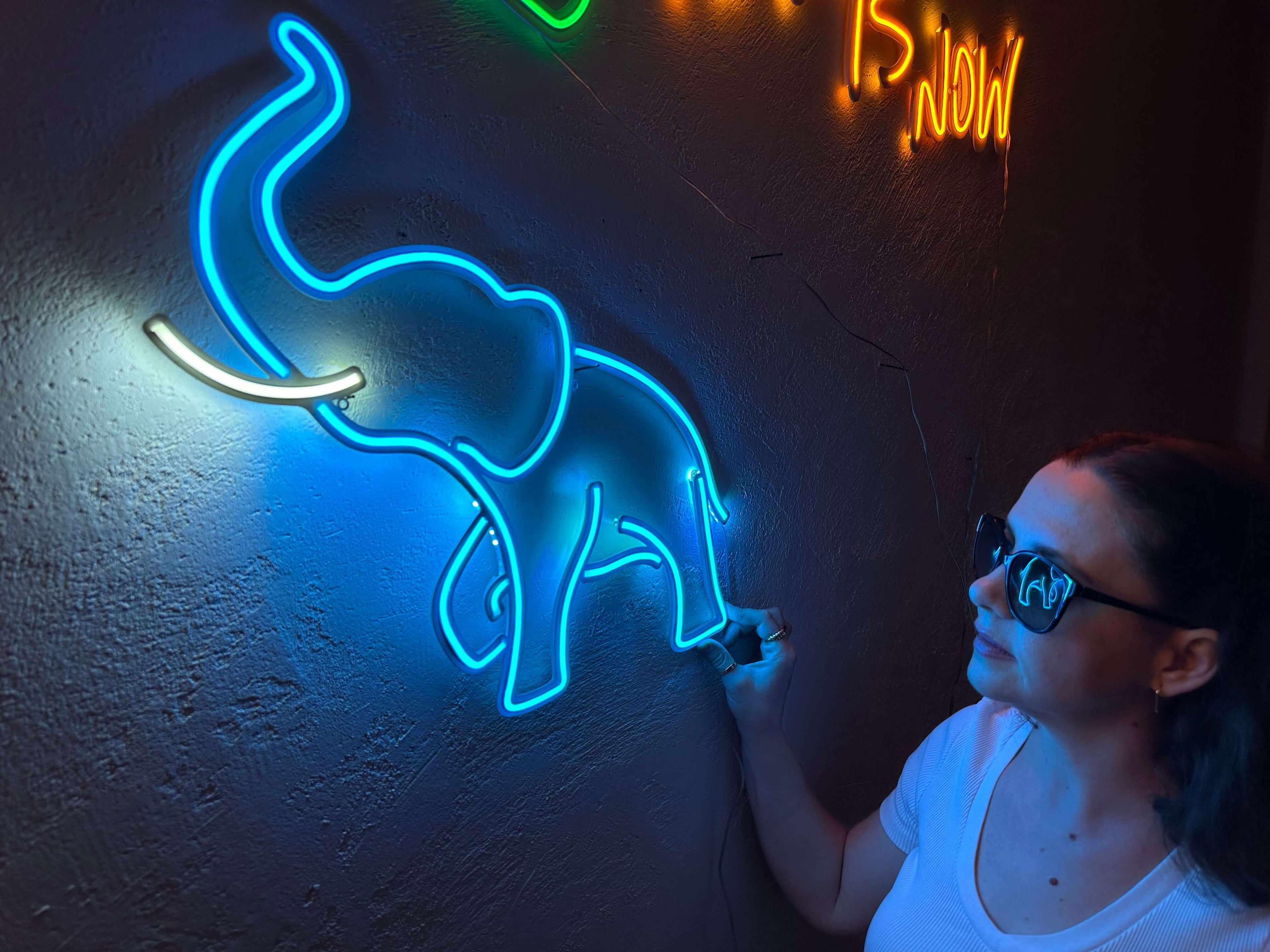 Elephant Neon Sign, Neon Metal Wall Art