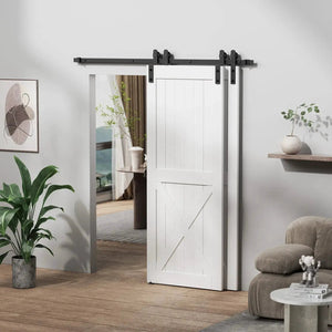 HAUSVITA bypass sliding barn door hardware kit Basic I with black rail and rollers on white barn door