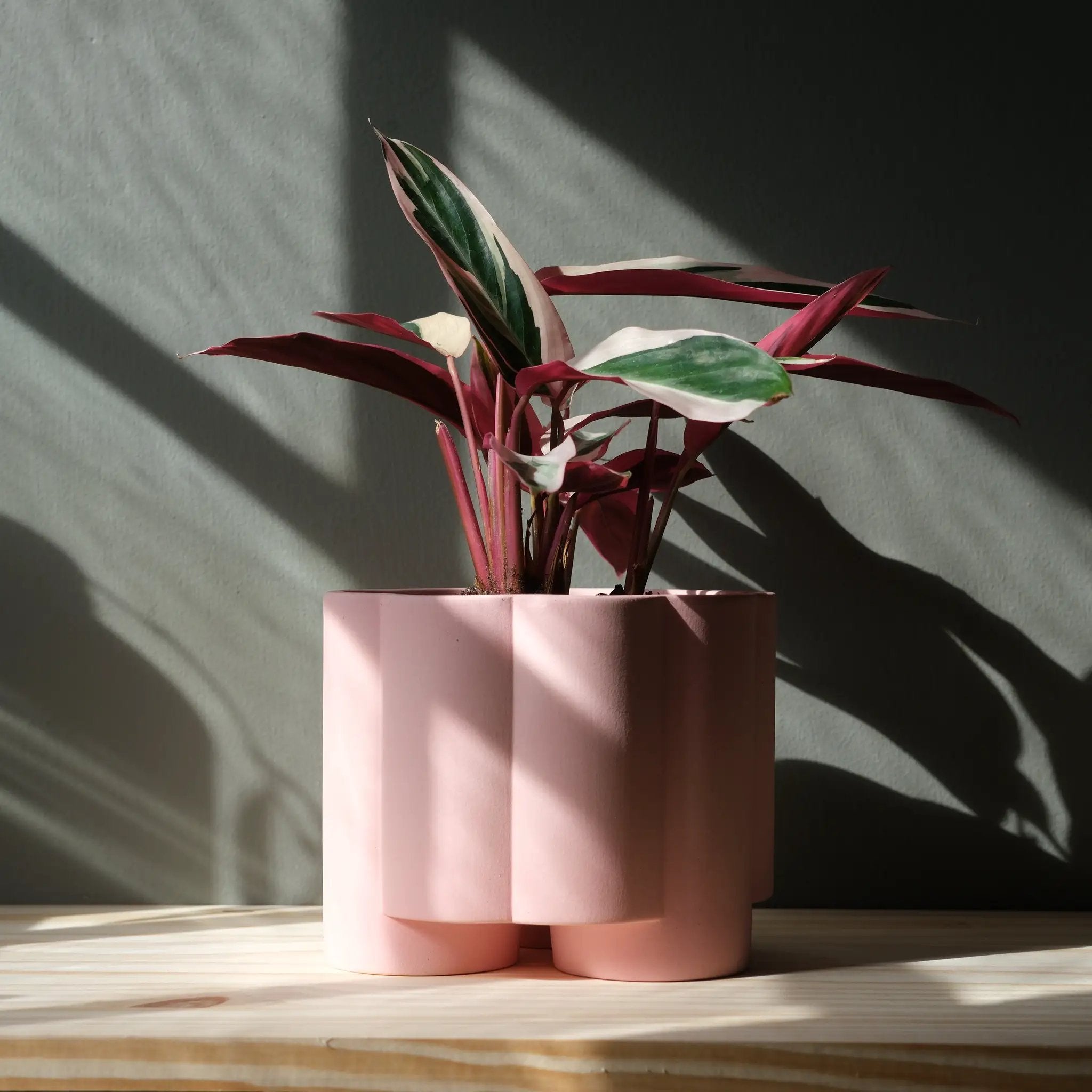 Pillar Planter