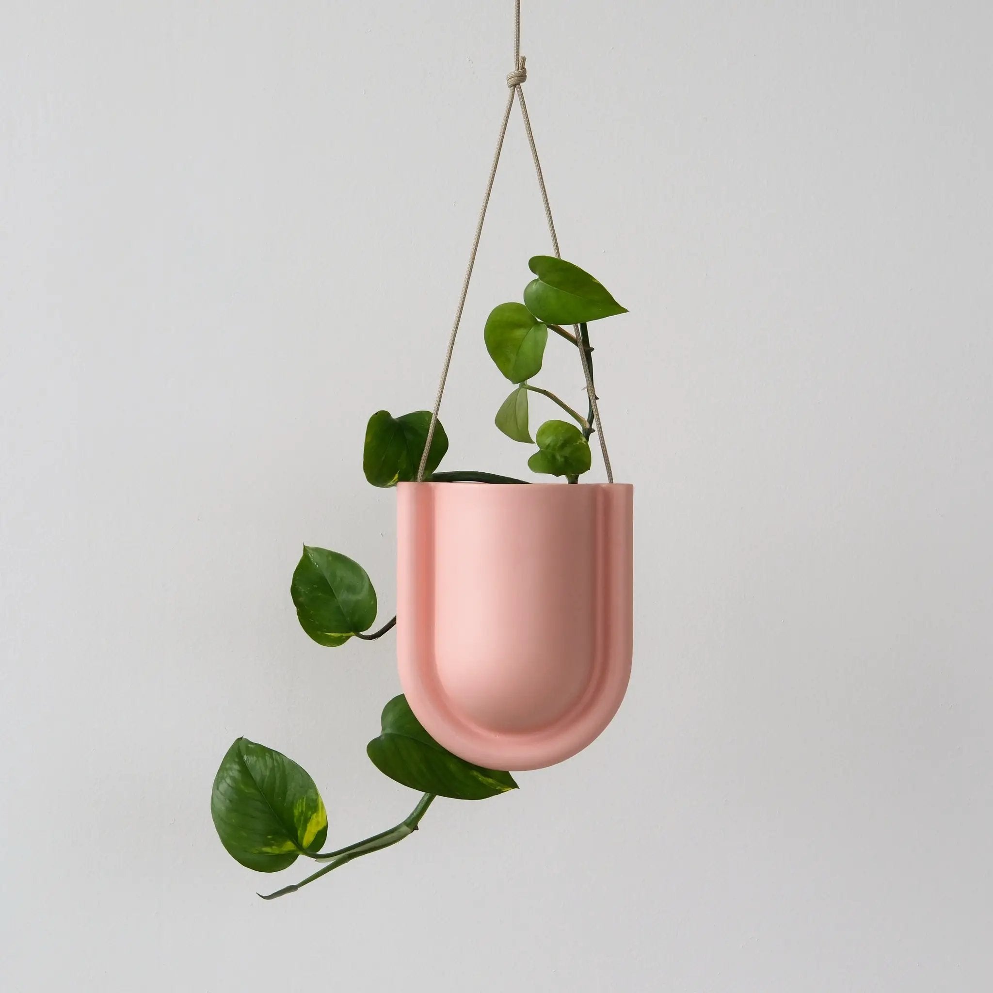 Portico Planter