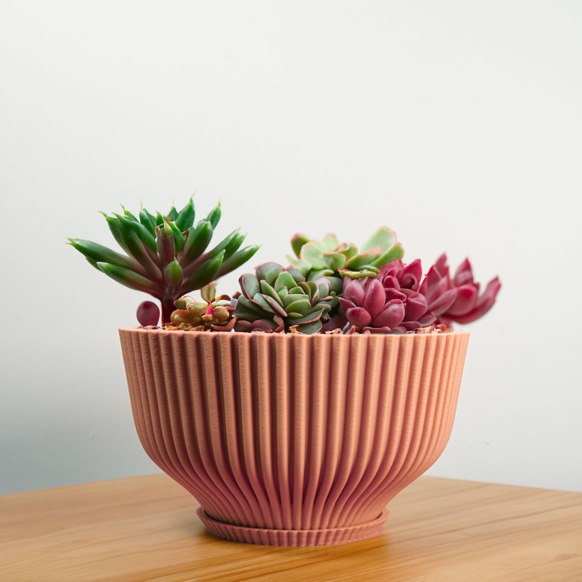 Bonsai Pot with Drainage & Tray