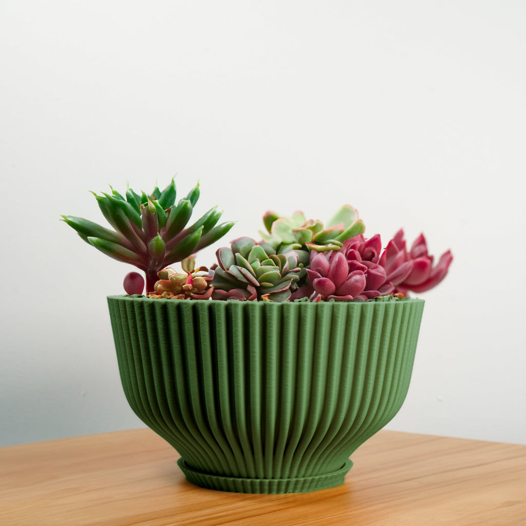 Bonsai Pot with Drainage & Tray