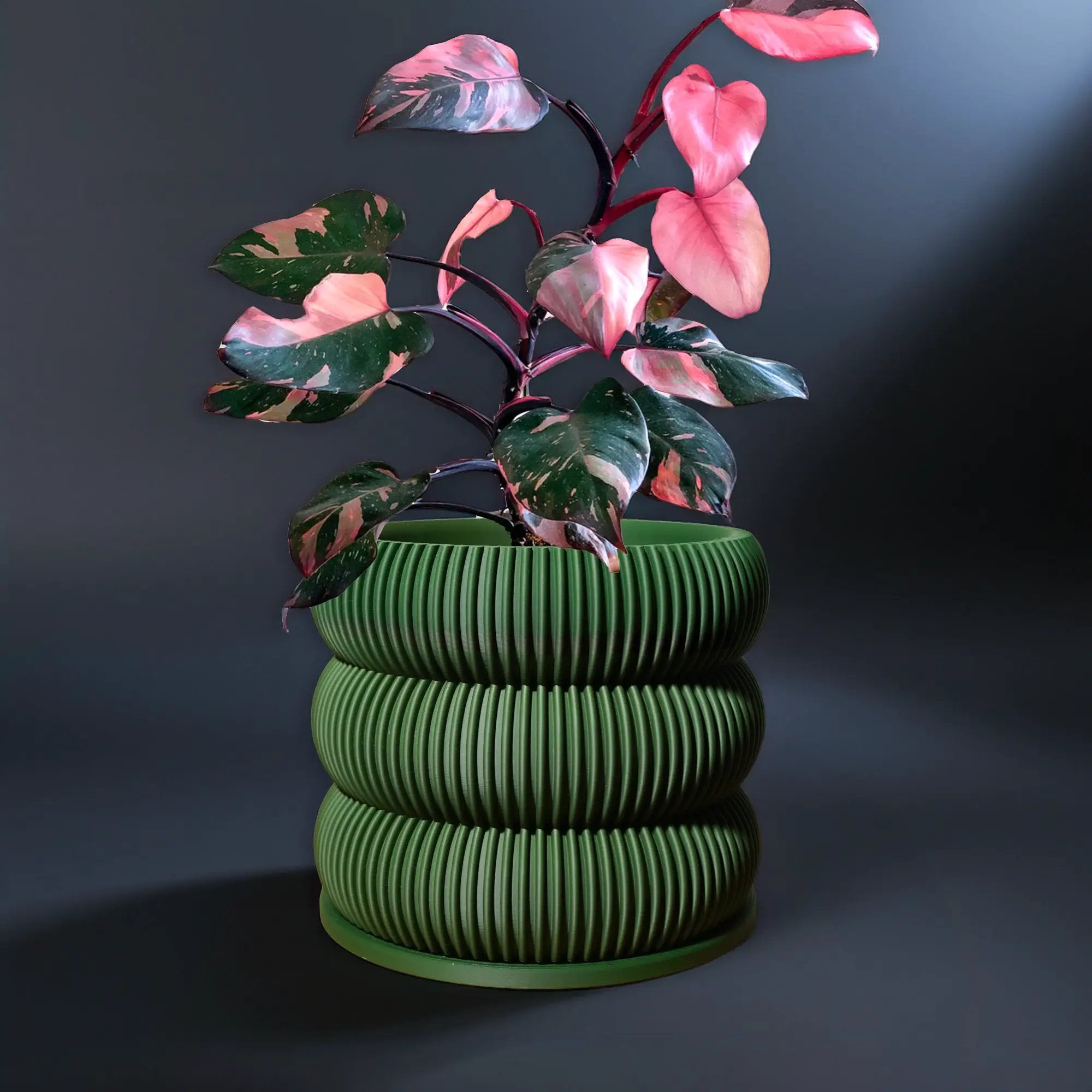 Ribbed Bubble Plant Pot With Drainage and Saucer
