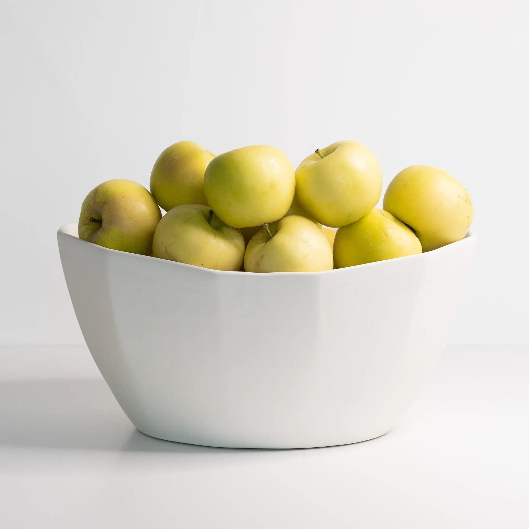 Large Porcelain Nesting Bowl