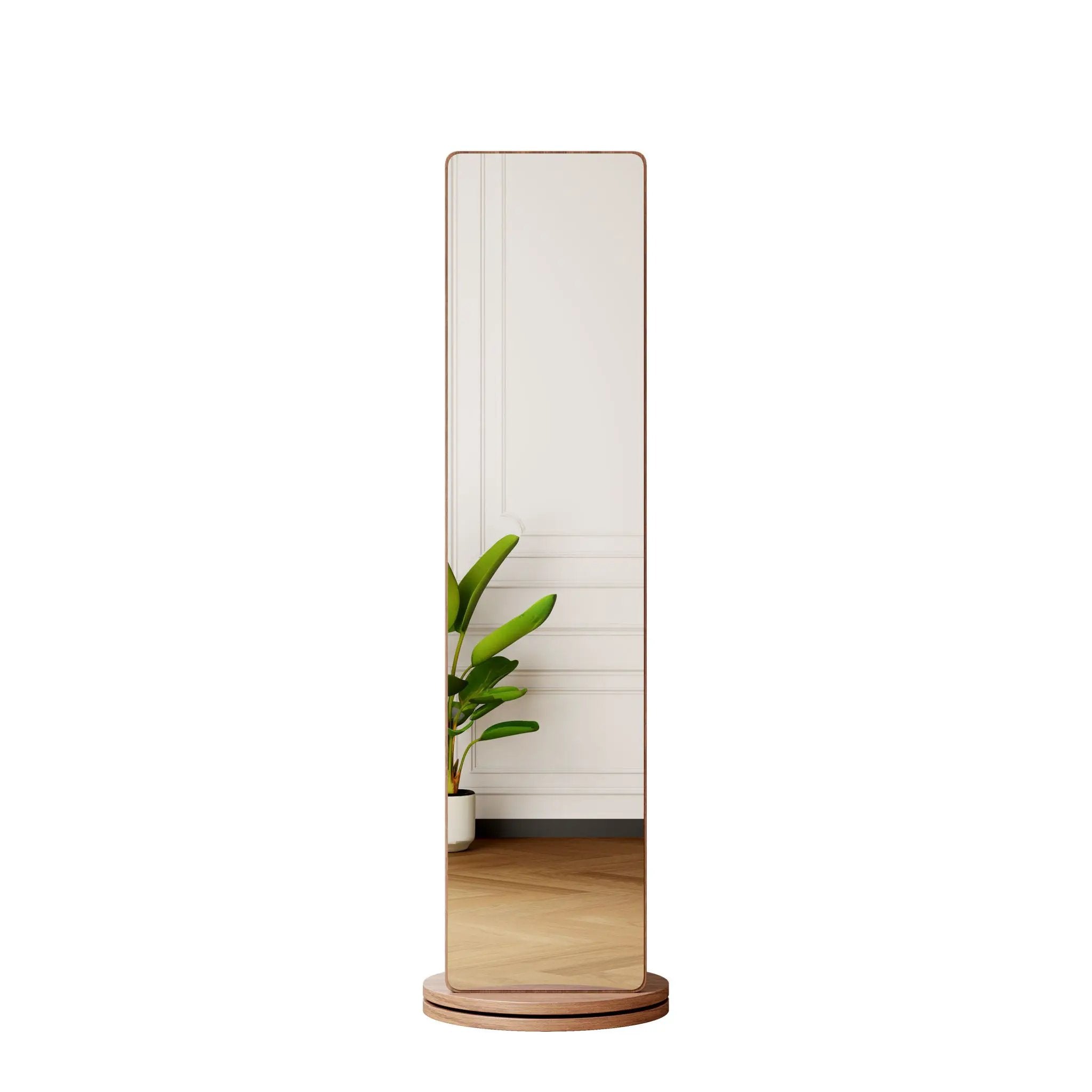 3 In 1 Multifunctional Full Length Clothing Mirror