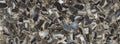 Agata Black Maximum