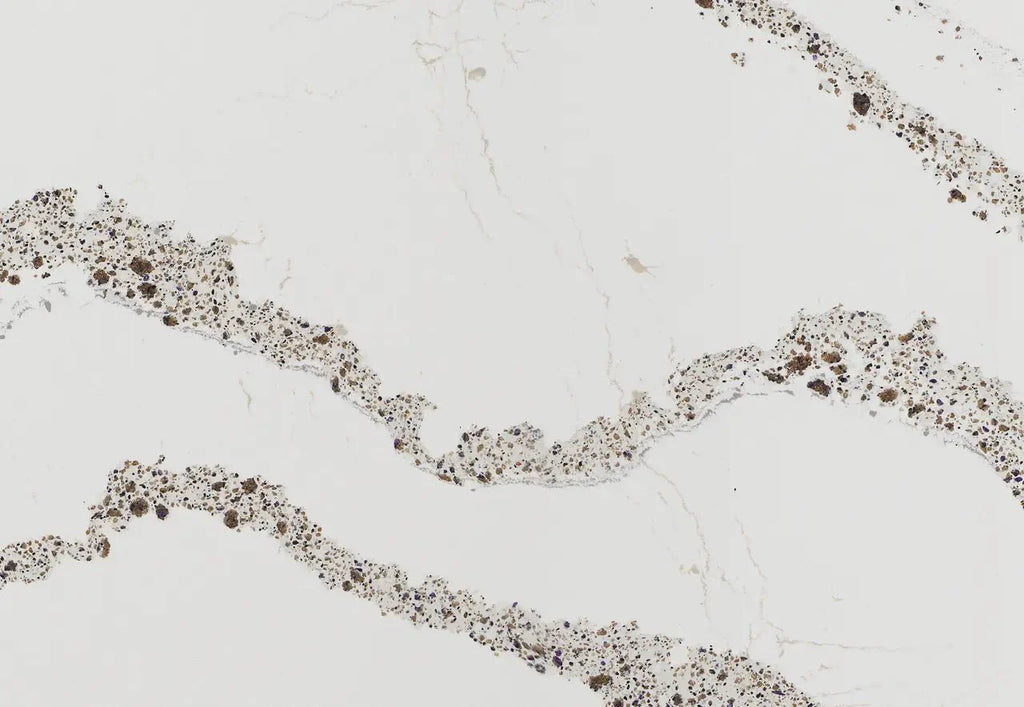 Annicca Cambria
