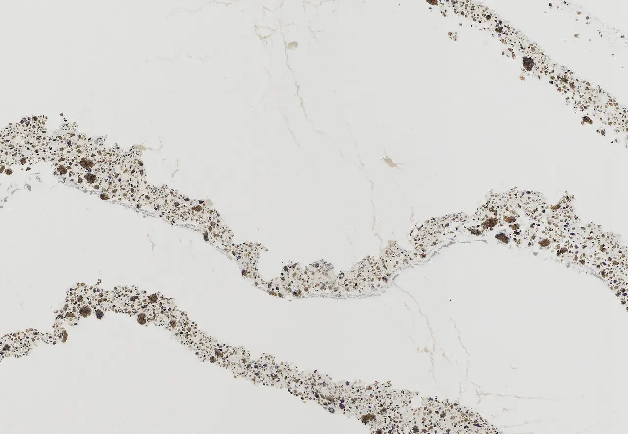 Annicca Cambria