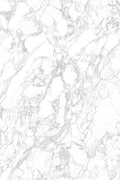 Arabescato Laminam