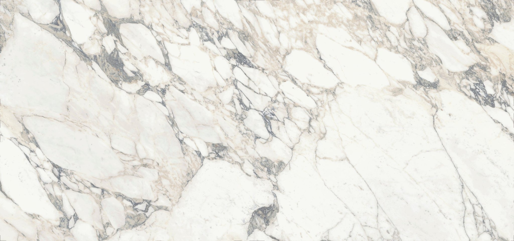 Arabescato Sapienstone