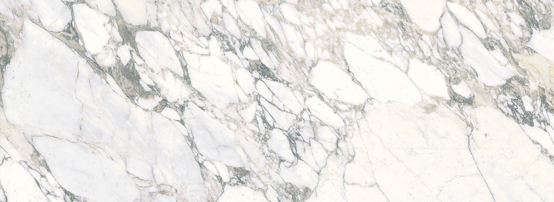 Arabescato Maxifine