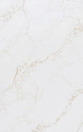 Ariston Gold Raphael Quartz