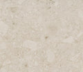 Ava Dekton