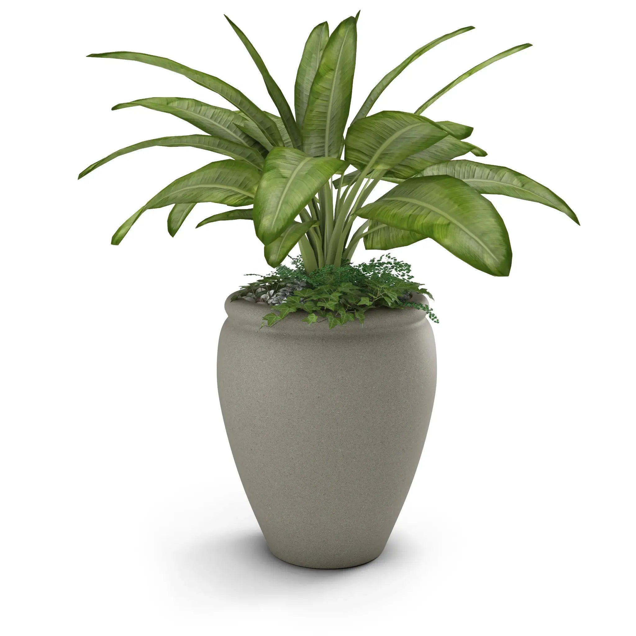 Bambino Planter