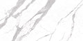 Bianco Statuario Venato Laminam