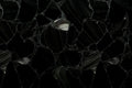 Black Obsidian Gemstone