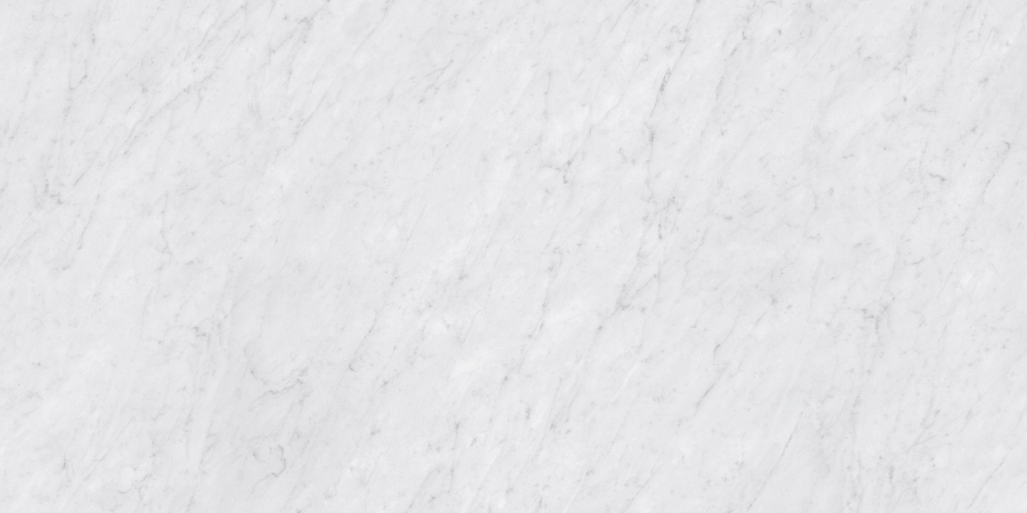 Blanco Carrara Neolith