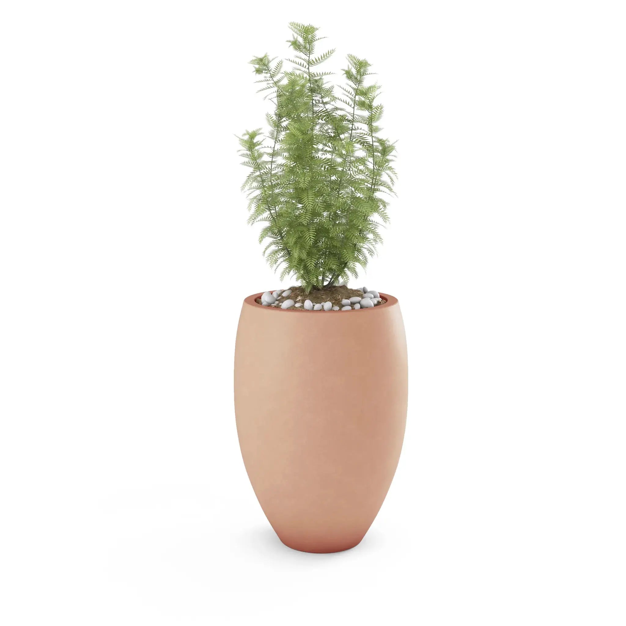 Brandy Planter