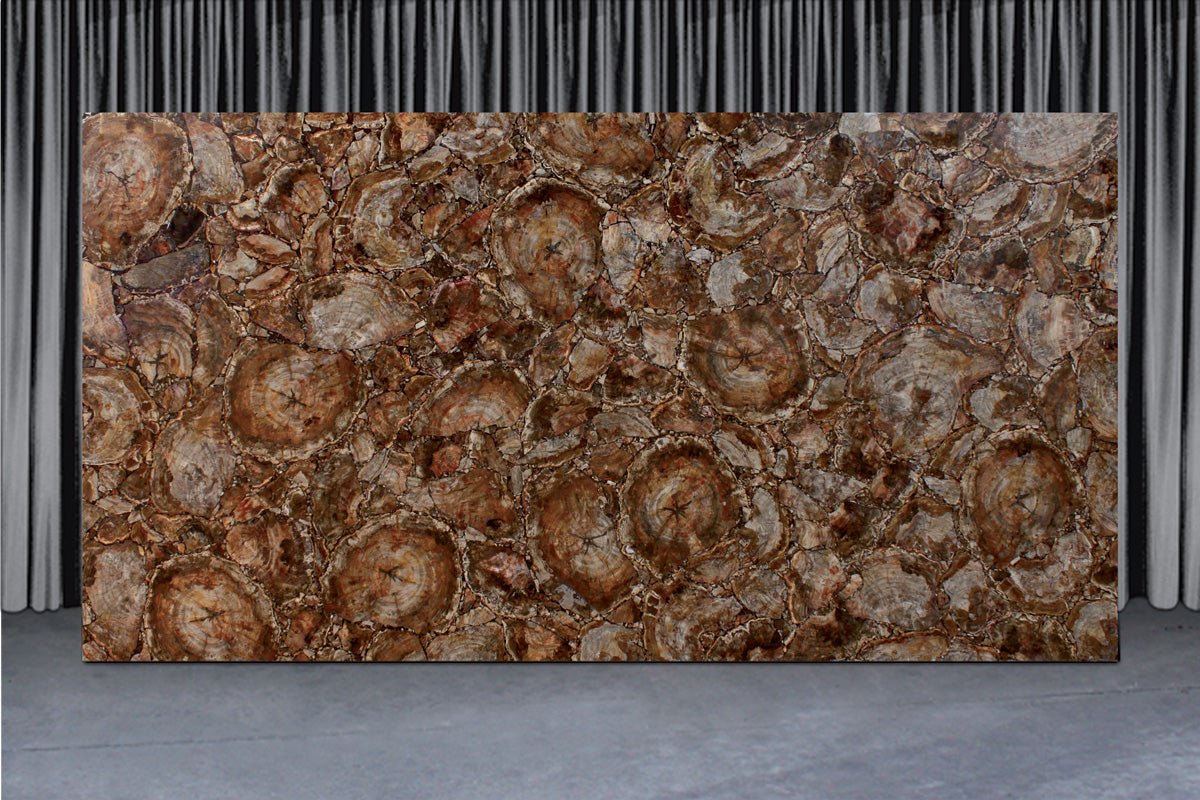 Brown Petrified Wood Precious Stone