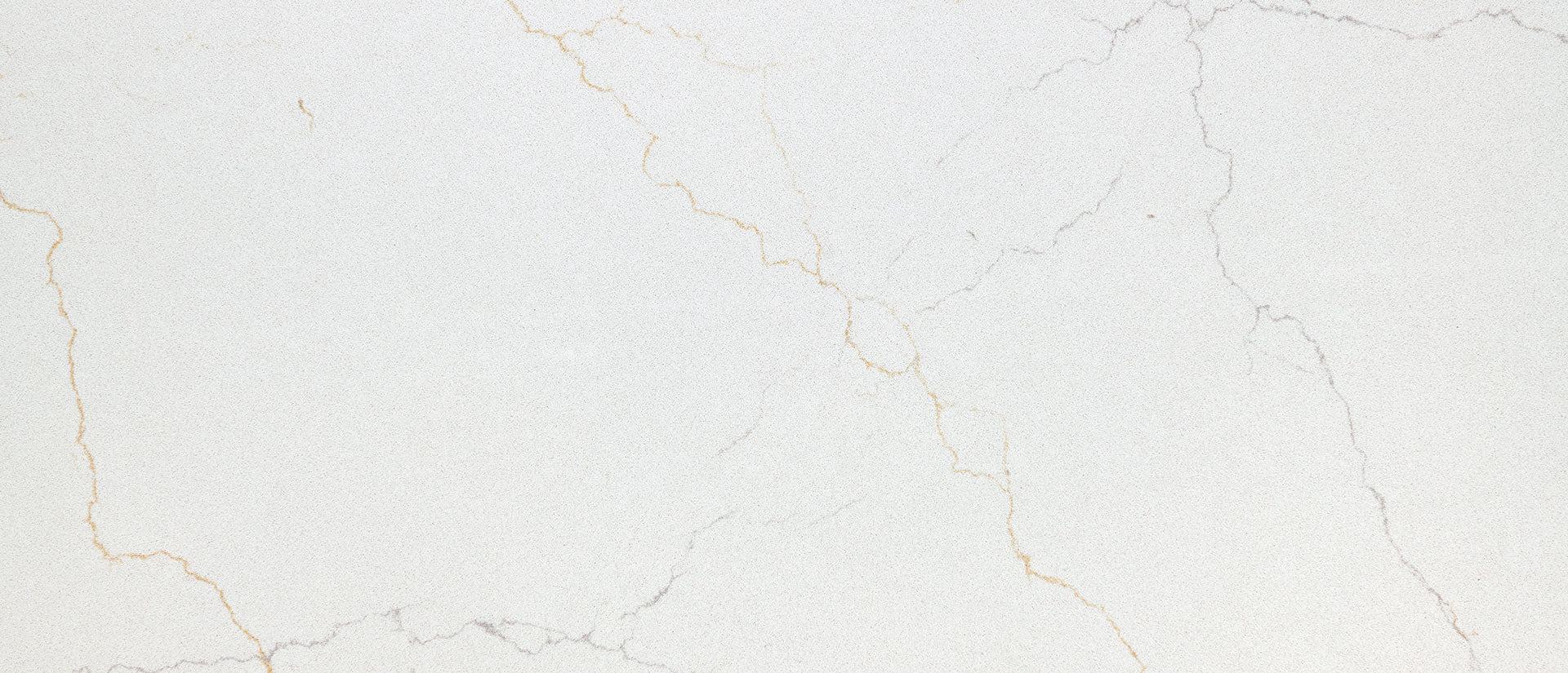 Calacatta Adonia Msi Q