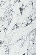 Calacatta Arabascato Raphael Quartz