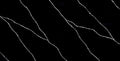 Calacatta Ebony Tessa Quartz
