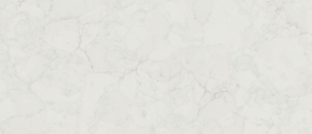 Calacatta Fioressa Msi Q
