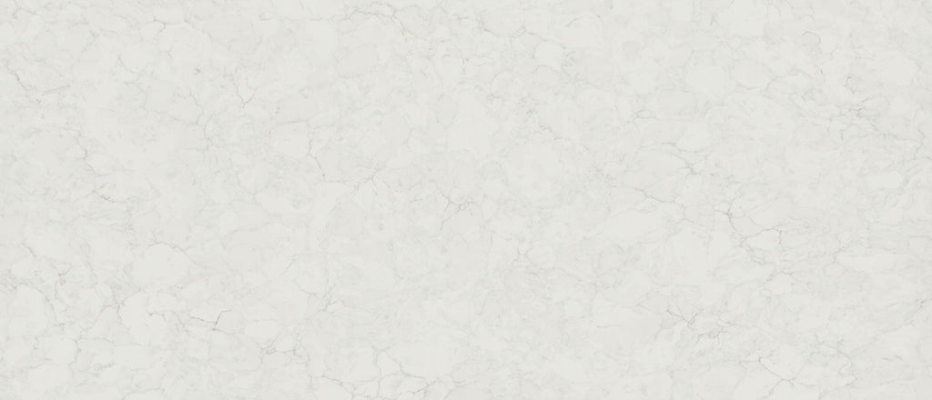 Calacatta Fioressa Msi Q