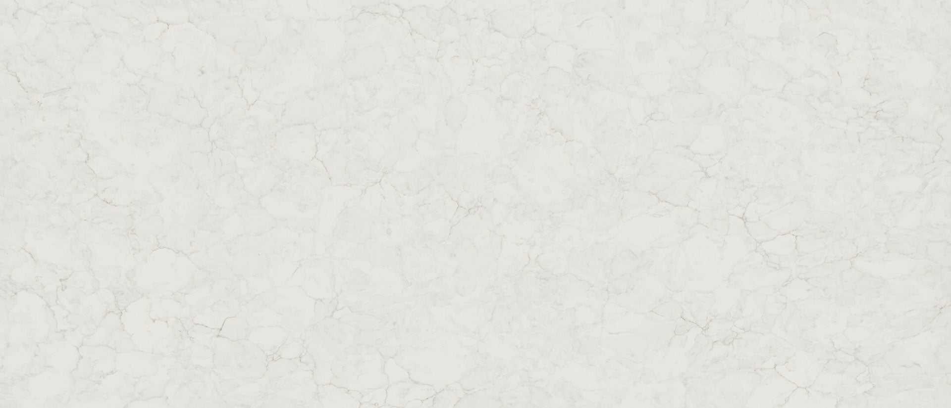 Calacatta Fioressa Msi Q
