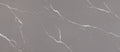Calacatta Laza Grigio Msi Q