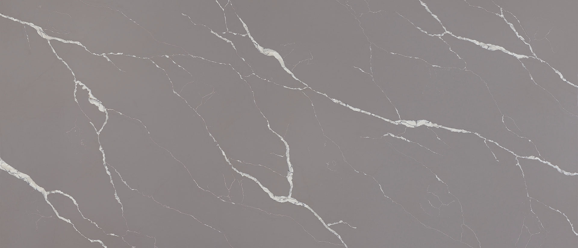 Calacatta Laza Grigio Msi Q