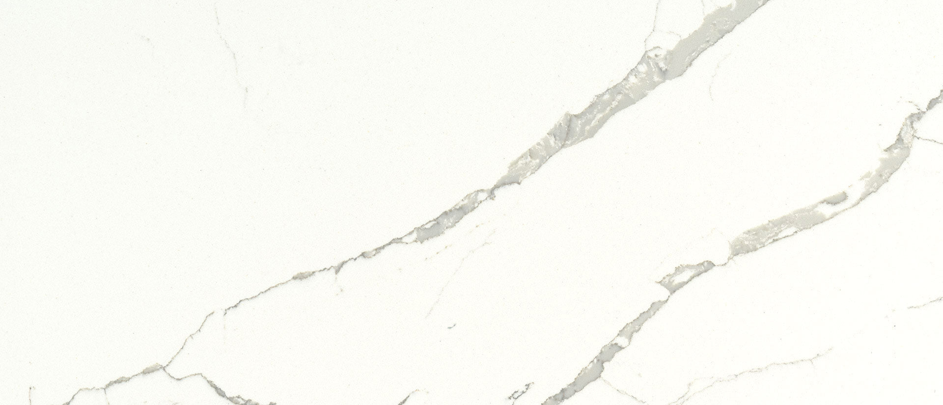 Calacatta Laza Msi Q