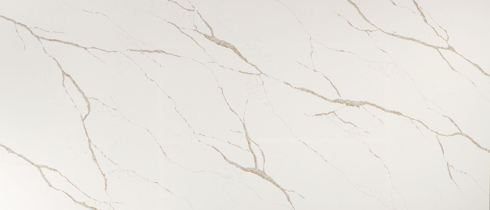 Calacatta Laza Oro Msi Q